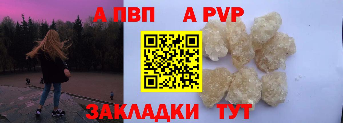 A-PVP СК КРИС Губкин