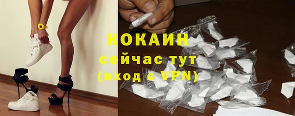 прущий лед Вязьма