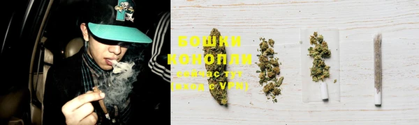 гашик Медногорск