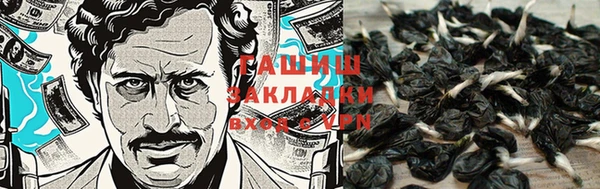 стаф Михайлов