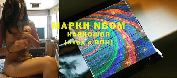 гашик Медногорск