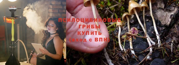 дмт Медвежьегорск