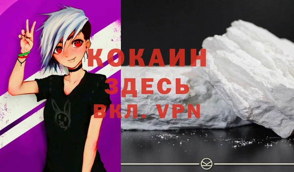 ГАЛЛЮЦИНОГЕННЫЕ ГРИБЫ Вяземский