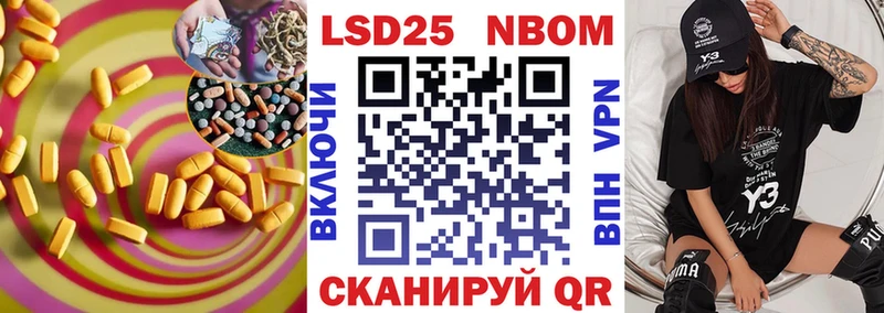 где можно купить Губкин Лсд 25 экстази ecstasy