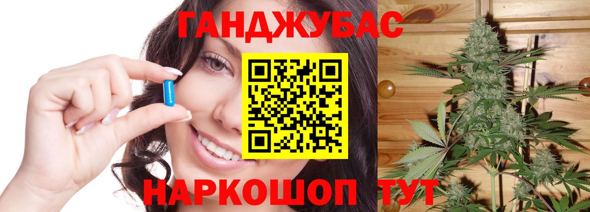 Бошки марихуана планчик  Бошки Шишки гибрид  Губкин  Бошки Шишки SATIVA & INDICA 